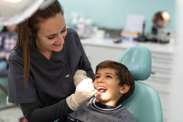 Best Emergency Pediatric Dentist  in Bemidji, MN