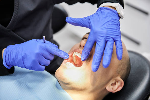 Best Urgent Tooth Repair  in Bemidji, MN